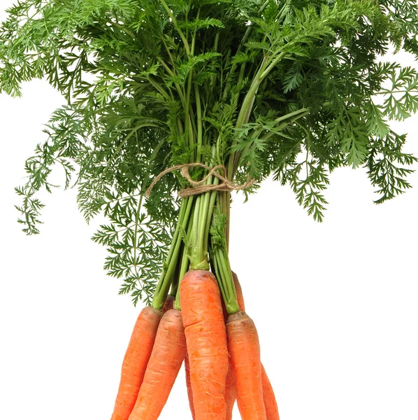 Carrot vegetable — Stock Photo, Image