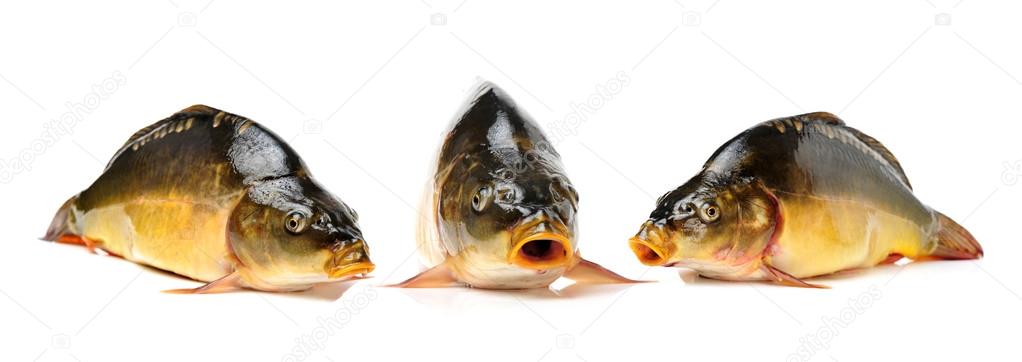 Raw fish carps — Stock Image Raw fish carps Stock Photo