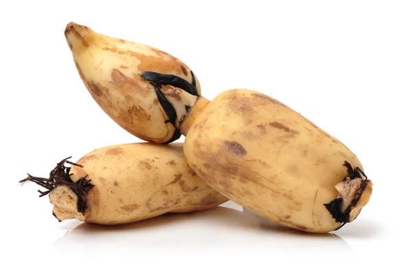 Lotus root — Stock Photo, Image