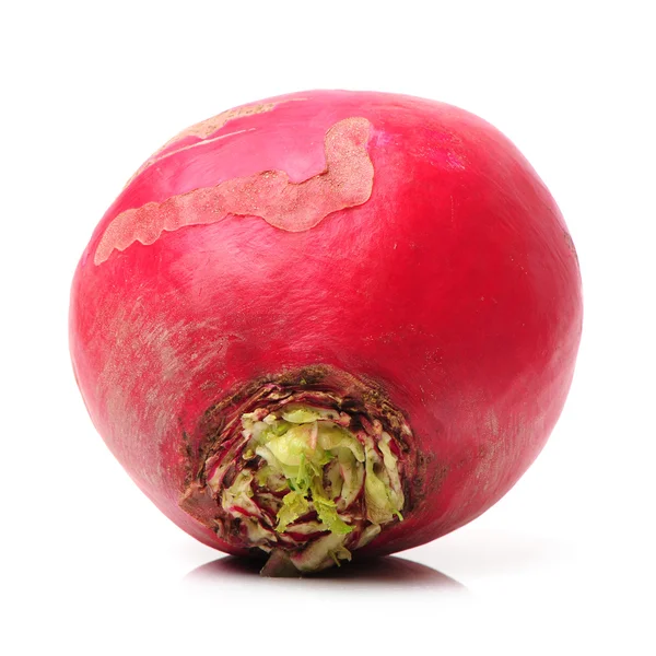 Fresh radish isolated — Stock Photo, Image