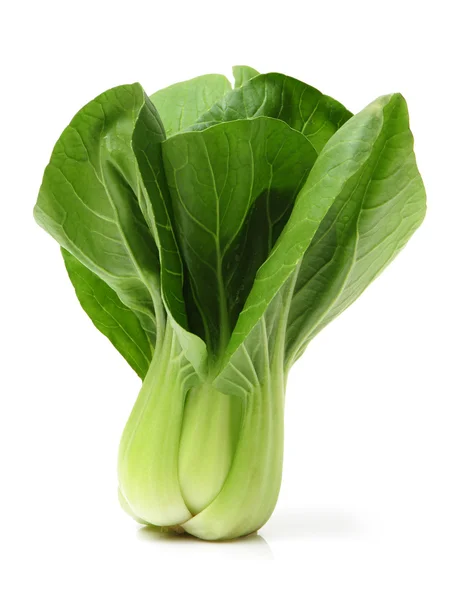 Pok Choi bunches — Stock Photo, Image