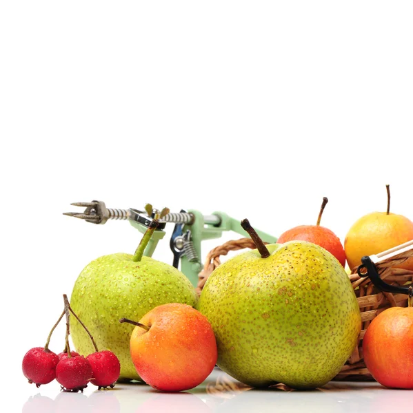 Nanguo pears — Stock Photo, Image