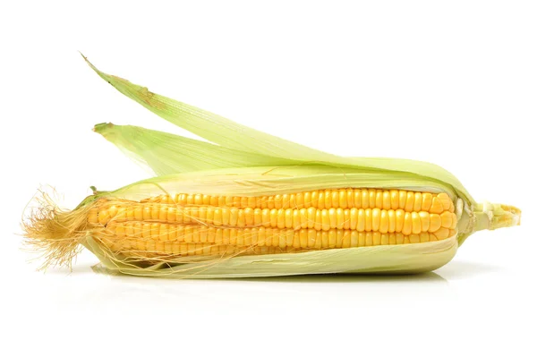 Yellow Corn — Stock Photo, Image