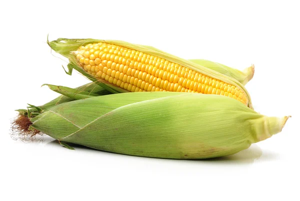 Yellow Corn — Stock Photo, Image