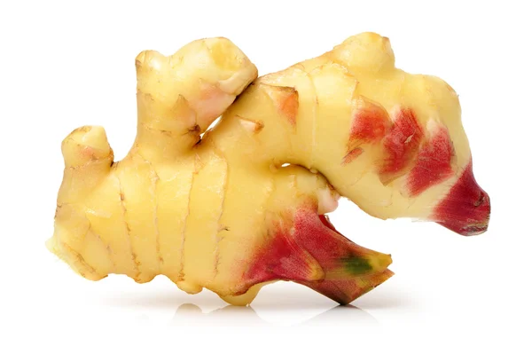 Fresh ginger root — Stock Photo, Image