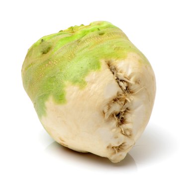 Taze Brassica juncea