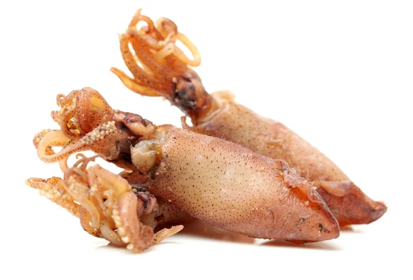Dried squid — Stock Photo, Image