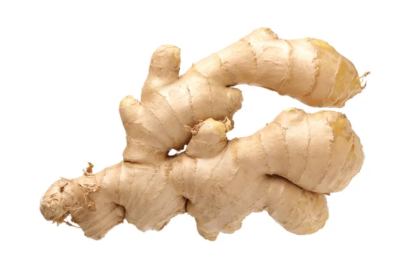 Fresh ginger root — Stock Photo, Image