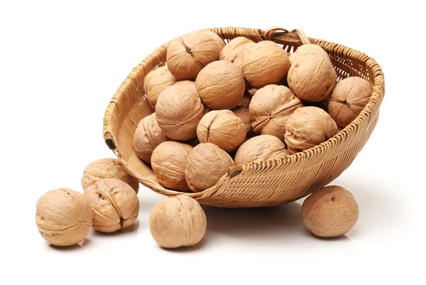 Fresh Walnuts — Stock Photo, Image