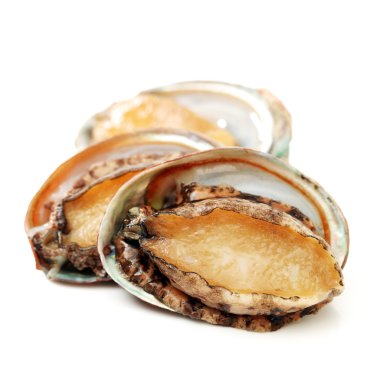 Kaç ham abalones