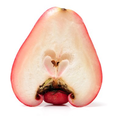 Gül elma ya da chomphu