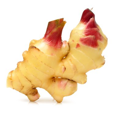 taze zencefil kökü