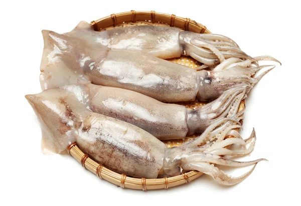 Nyfångad squid — Stockfoto