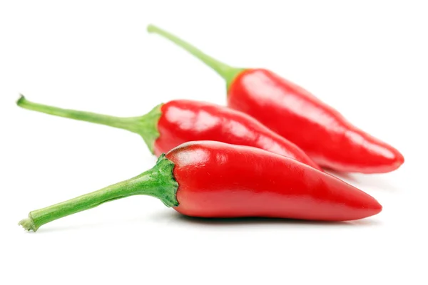 Röd het chilipeppar — Stockfoto