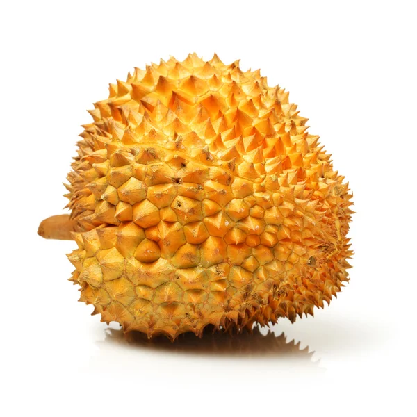Fruta duriana - sudeste asiático —  Fotos de Stock