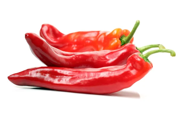 Röd het chilipeppar — Stockfoto