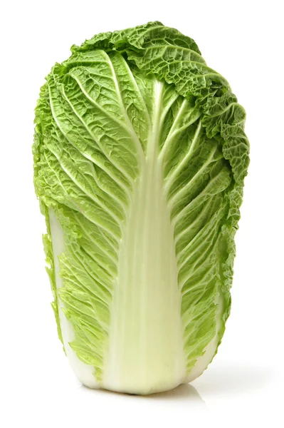 Chinese cabbage — Stock Photo, Image