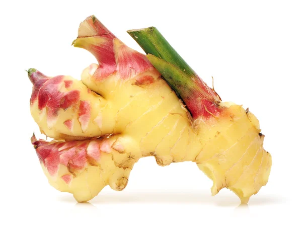 Fresh ginger root — Stock Photo, Image