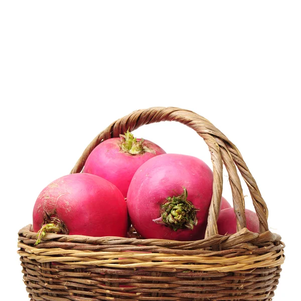 Fresh Radish — Stock Photo, Image