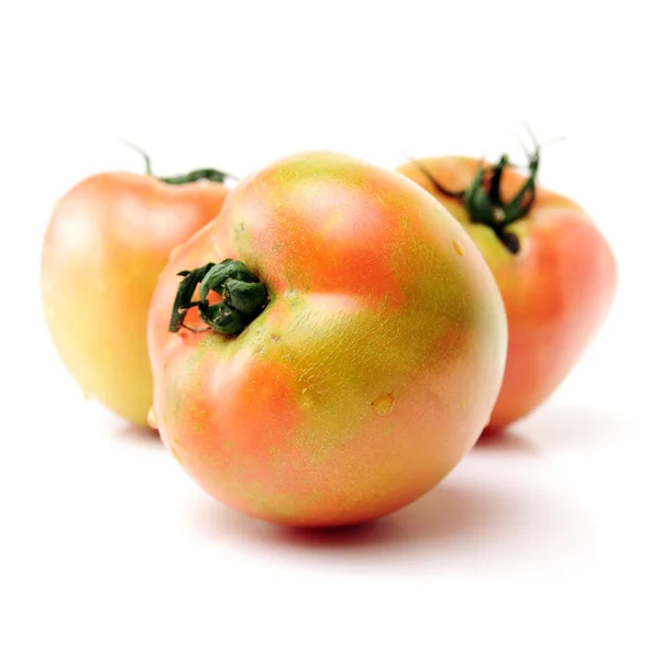 Fresh tomatoes — Stock Photo, Image