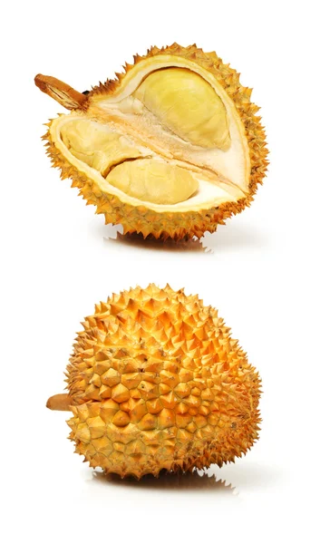 Durian fruit  - south east asia — Stock Photo, Image