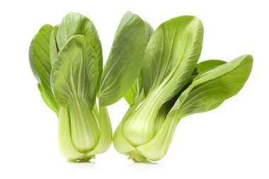 Pok Choi