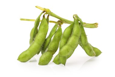 Taze hasat soya fasulyesi