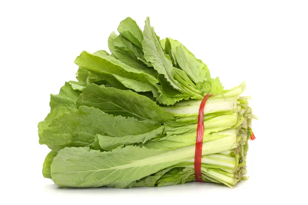 Green Leafy cabbage — Stock Photo, Image