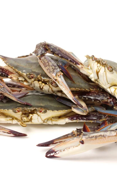 Fresh Crabs — Stock Photo, Image
