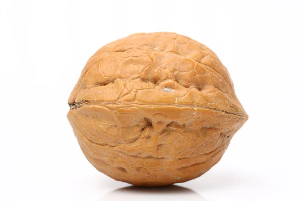 Fresh Walnut — Stock Photo, Image