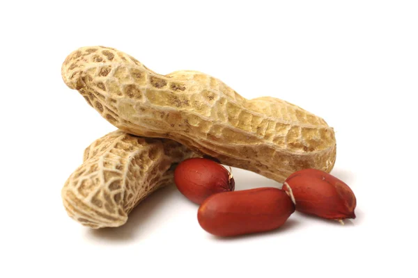 Свежий арахис — стоковое фото