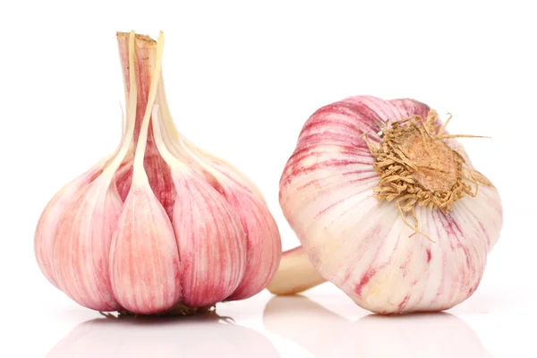 Frischer Knoblauch — Stockfoto