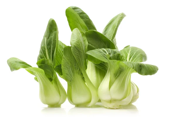 Pok Choi — Stok fotoğraf