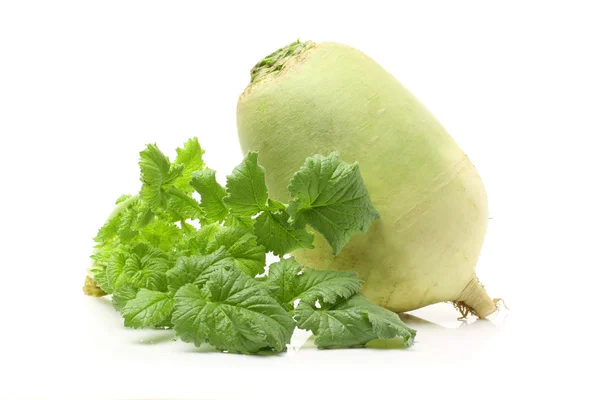 Party loyalty radish — Stock Photo, Image