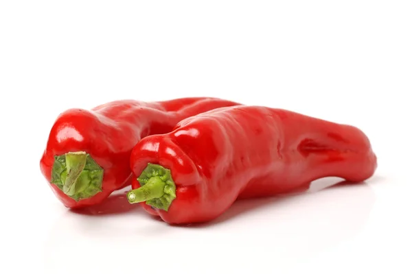 Red hot chili pepper Royalty Free Stock Photos