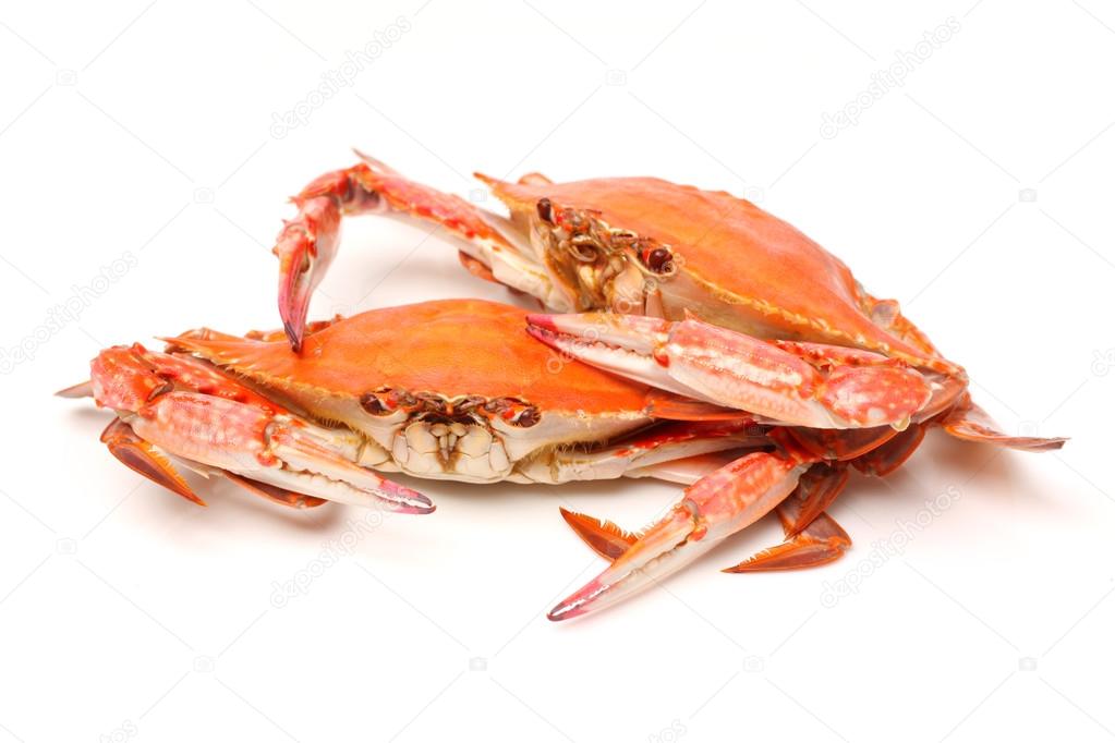 Cooked Crabs