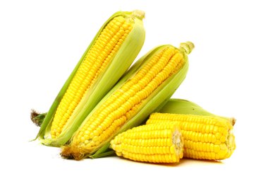 Sarı Mısır