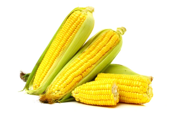 Yellow Corn — Stock Photo, Image