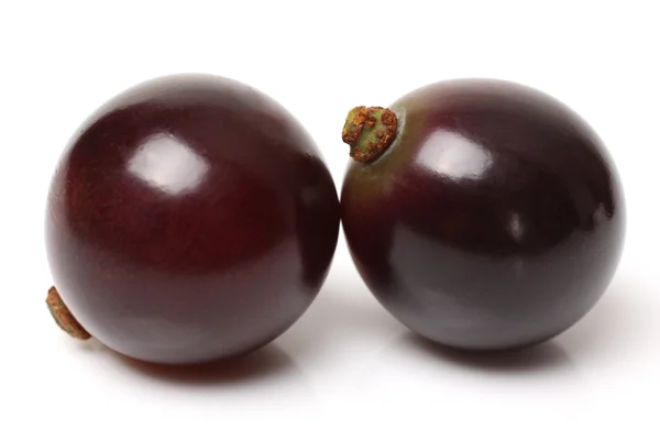 Uvas rojas — Foto de Stock