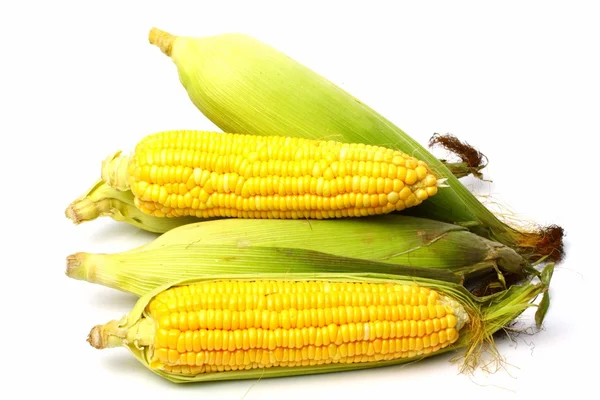 Gele maïs — Stockfoto