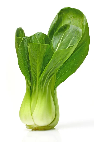 Pok Choi — Stock Fotó