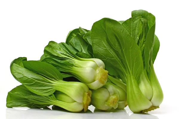 Pok Choi — Stock Photo, Image