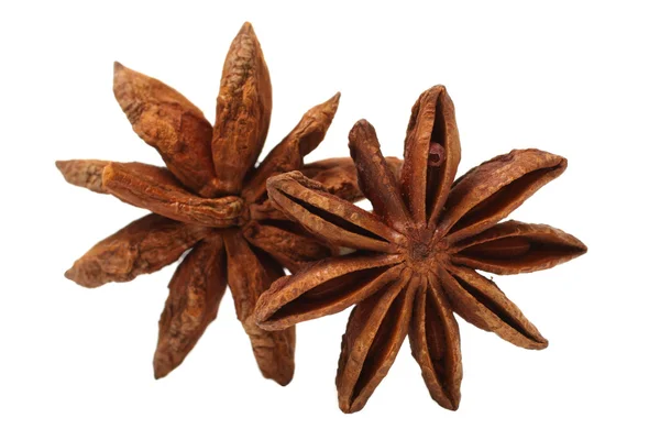 Star anise — Stock Photo, Image