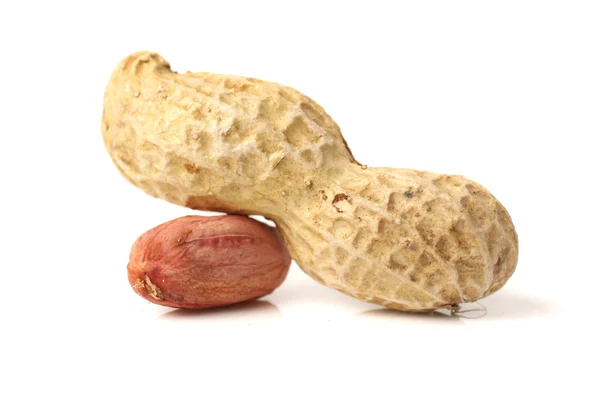 Свежий арахис — стоковое фото