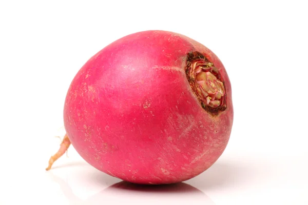 Fresh Radish — Stock Photo, Image