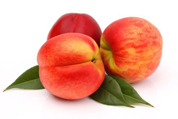 Fresh Peaches