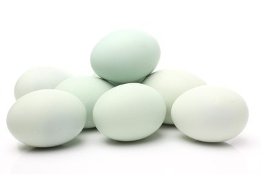 tuzlu ördek yumurta