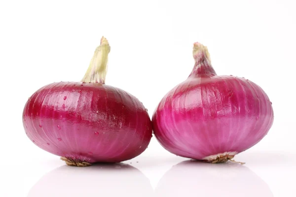 Cebolla roja — Foto de Stock