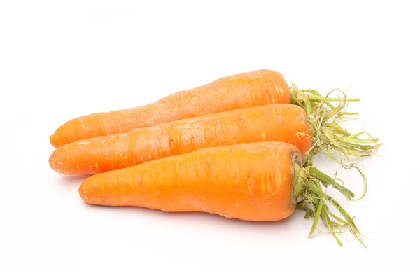 Fresh carrot — Stock Photo, Image