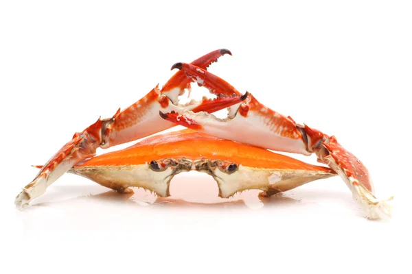 Crabi gatiti — Fotografie, imagine de stoc